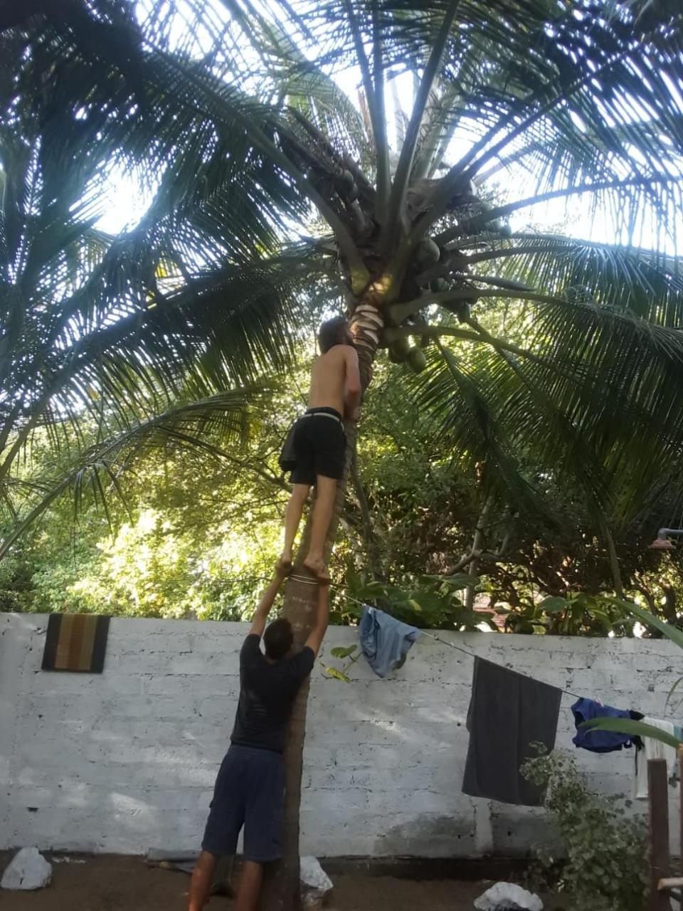 Hangover Hostels Arugam Bay Esterno foto